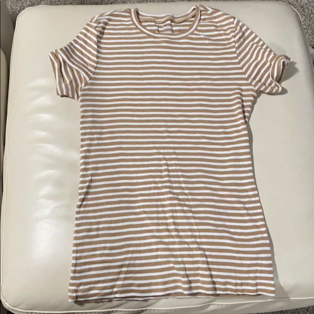 1901 Cotton Top